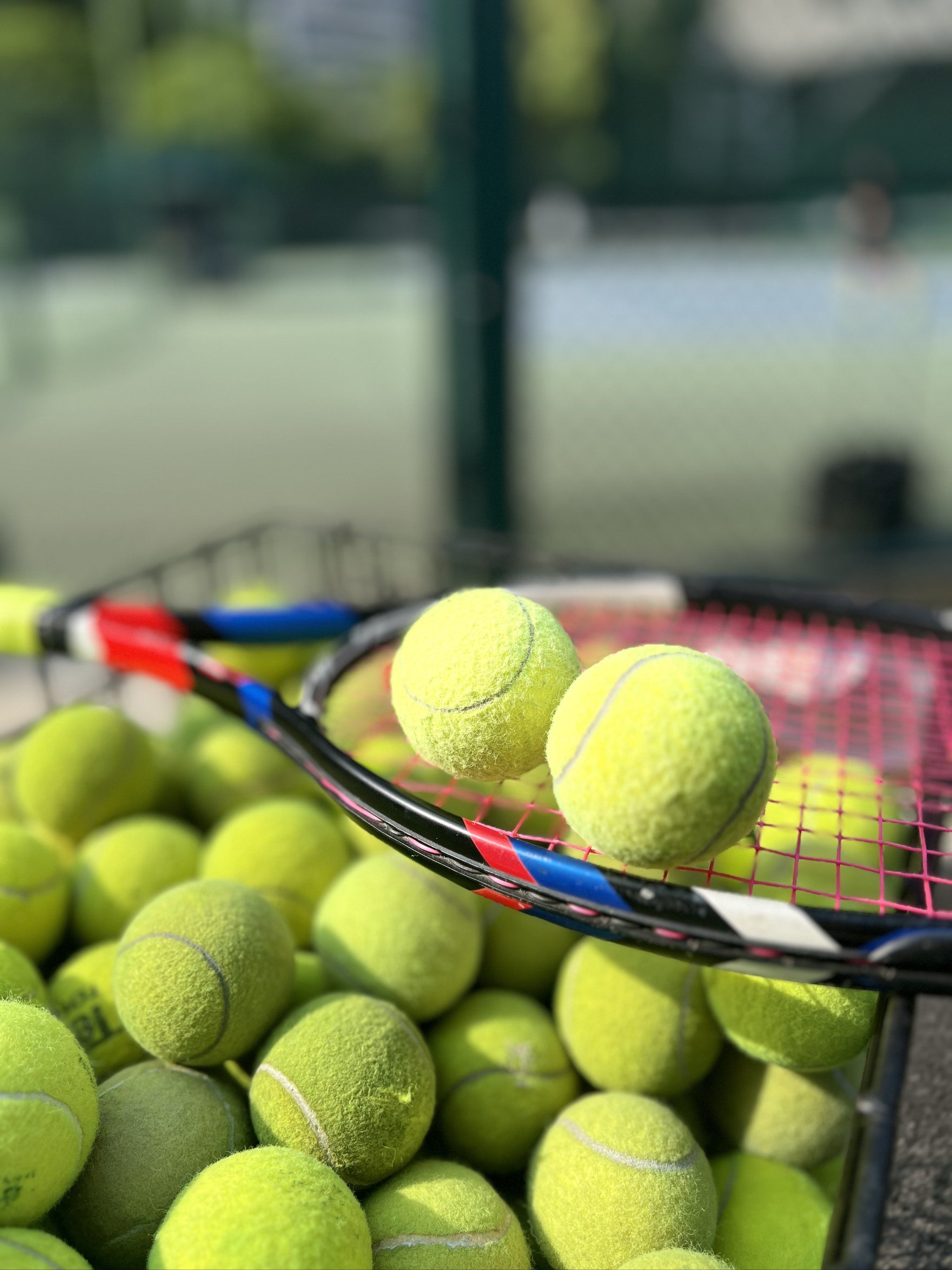 在本赛季的 在本赛季的