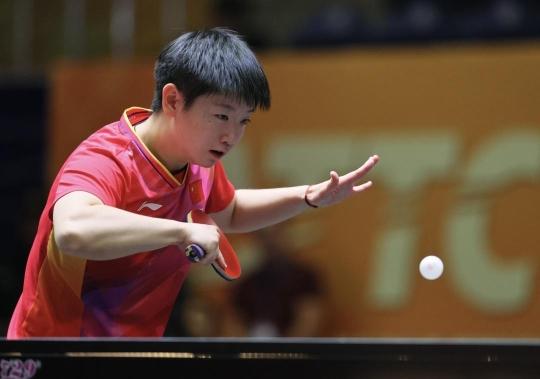 洗牌阶段 洗牌阶段